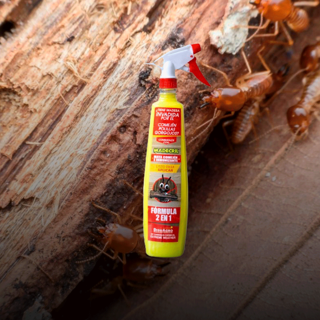 Madecril matacomejen e inmunizante (Galón con fumigadora). Previene y elimina la plaga de los muebles y la madera - Disuagro